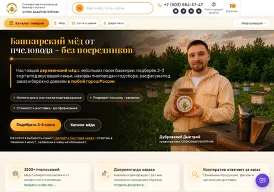 Снимок главной страницы bashmead.ru