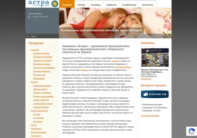 Снимок главной страницы astra-nsk.ru