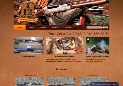 Снимок главной страницы 12kolibr.ru