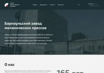 Снимок главной страницы bzmp.ru