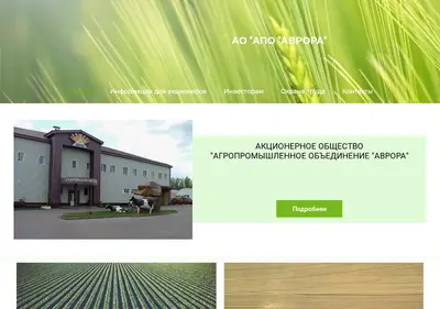 Снимок главной страницы apo-avrora.ru