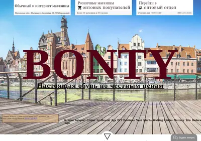 Снимок главной страницы bonty.ru