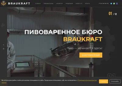 Снимок главной страницы braukraft.ru