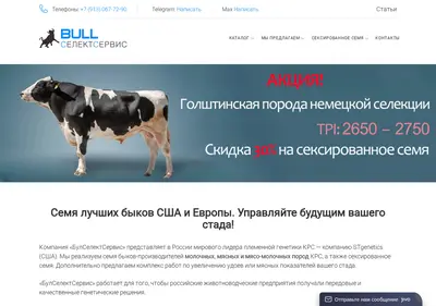 Снимок главной страницы bullselect.ru