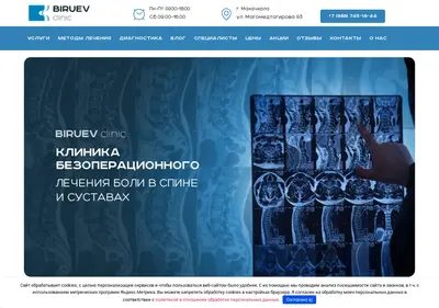Снимок главной страницы biruevclinic.ru