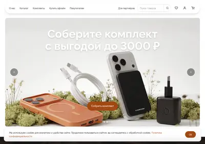 Снимок главной страницы acecase.ru