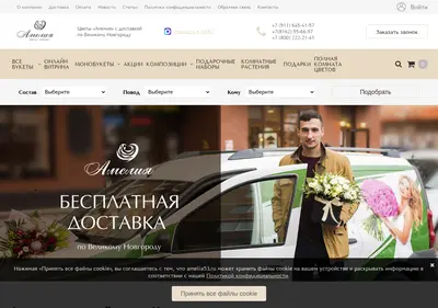 Снимок главной страницы amelia53.ru
