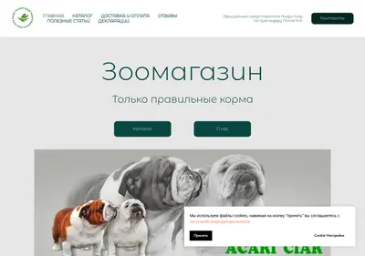 Снимок главной страницы acariciar-krd.ru