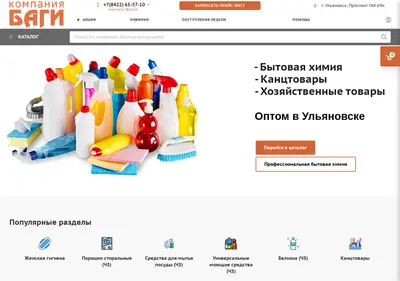 Снимок главной страницы bagi66.ru