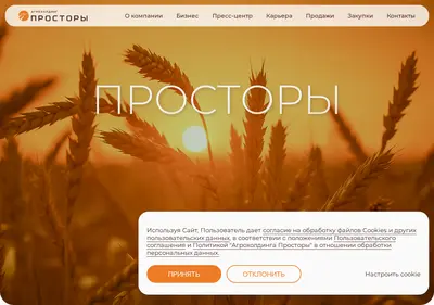 Снимок главной страницы ahprostory.ru