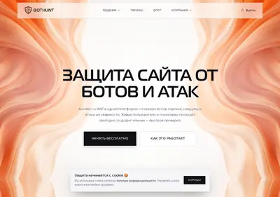 Снимок главной страницы bothunt.ru