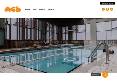 Снимок главной страницы basseinlev.ru
