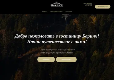Снимок главной страницы barin-gost.ru