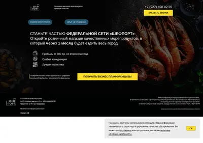 Снимок главной страницы chief-port-franch.ru