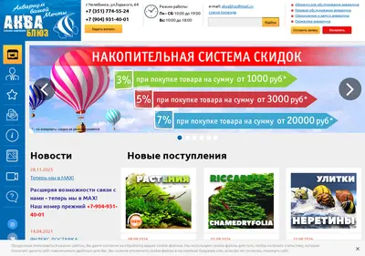Снимок главной страницы akvabluz.ru