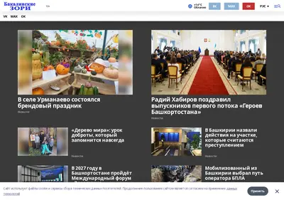 Снимок главной страницы bakalzori.ru