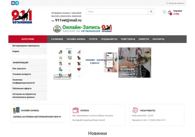 Снимок главной страницы 911vk.ru