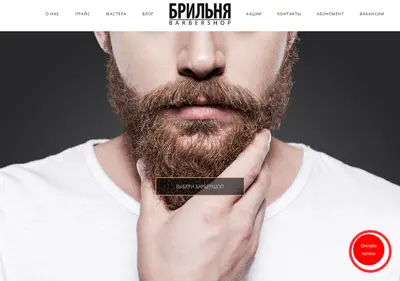 Снимок главной страницы brilnya.ru