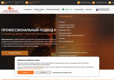 Снимок главной страницы 9hs.ru