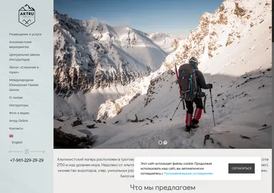 Снимок главной страницы alpaktru.ru