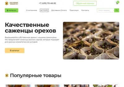 Снимок главной страницы 1-po.ru