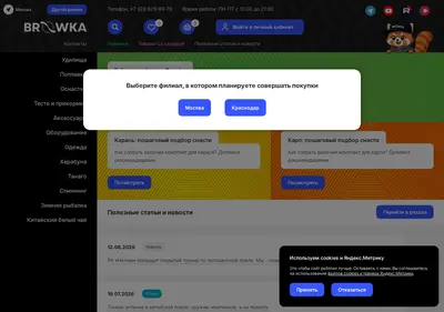 Снимок главной страницы browkafish.ru