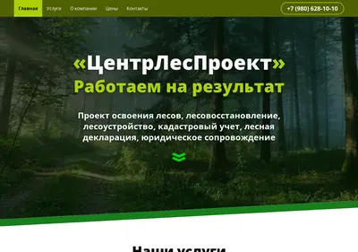 Снимок главной страницы centrlesproekt.ru