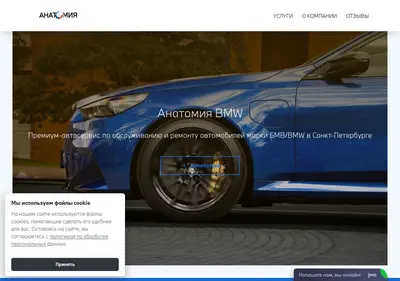 Снимок главной страницы anatomy-bmw.ru