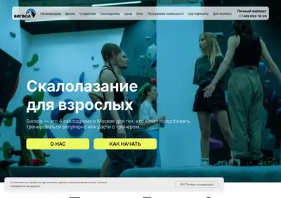 Снимок главной страницы bigwallsport.ru