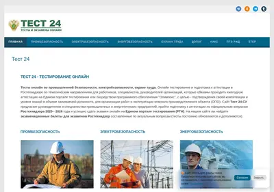 Снимок главной страницы tests24.su