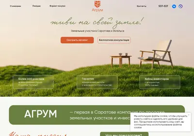 Снимок главной страницы agroom64.ru