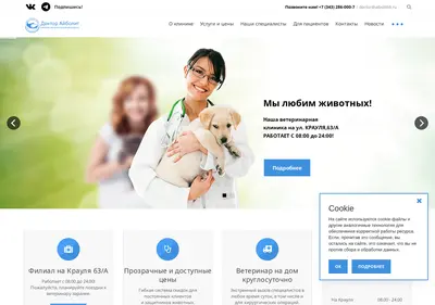 Снимок главной страницы aibolit66.ru