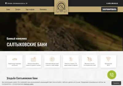Снимок главной страницы banisaltykovskiye.ru