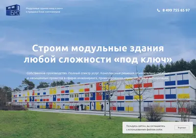 Снимок главной страницы bmzr.ru