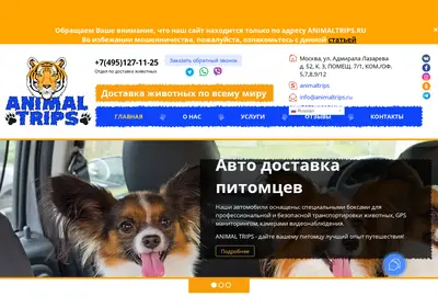 Снимок главной страницы animaltrips.ru