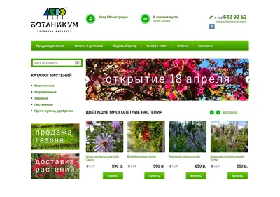 Снимок главной страницы botanicum-spb.ru