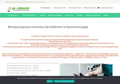Снимок главной страницы av-aybolit39.ru