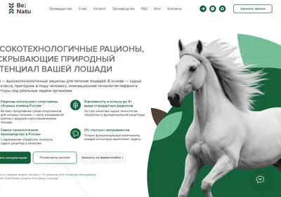 Снимок главной страницы benatu.ru
