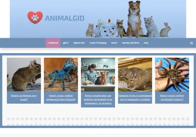 Снимок главной страницы animalgid.ru