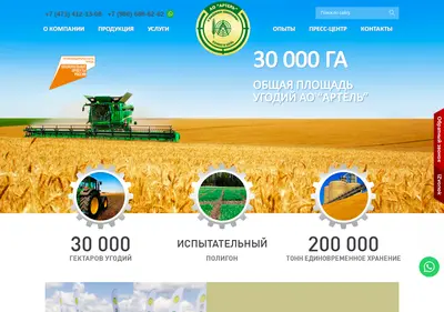 Снимок главной страницы artel-semena.ru