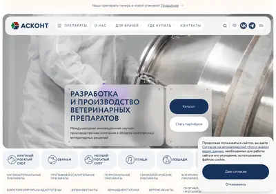 Снимок главной страницы askont.ru