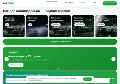 Снимок главной страницы carcity45.ru