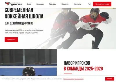 Снимок главной страницы avangard-moscow.ru