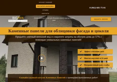 Снимок главной страницы big-pan.ru