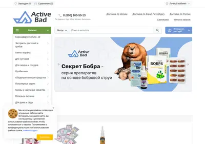 Снимок главной страницы activebad.ru