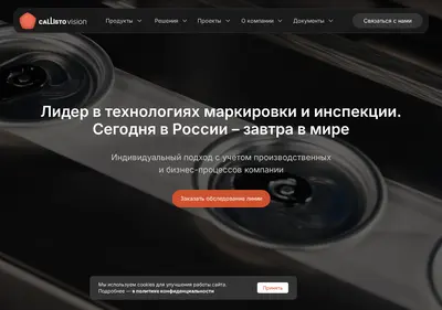 Снимок главной страницы callistovision.ru
