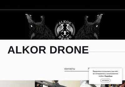 Снимок главной страницы alkordrone.ru