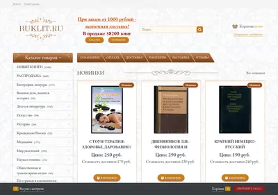 Снимок главной страницы buklit.ru