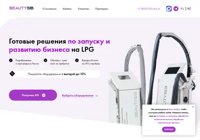 Снимок главной страницы beauty-sib.ru
