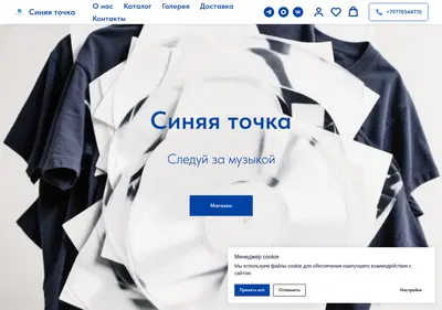 Снимок главной страницы bluespotart.ru